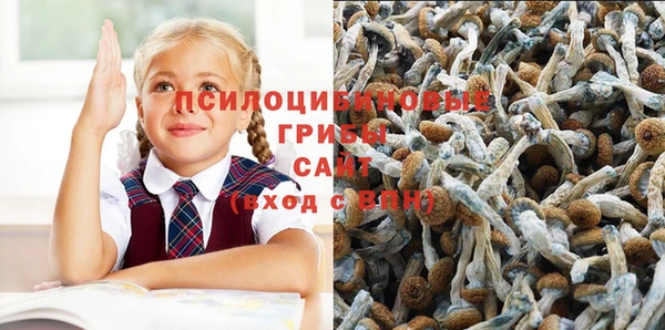 прущие грибы Арсеньев