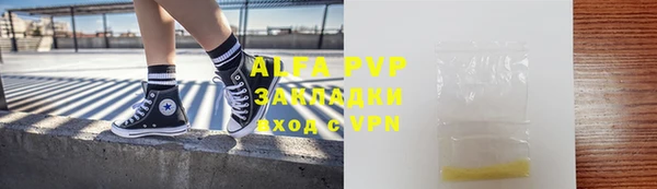 прущие грибы Арсеньев
