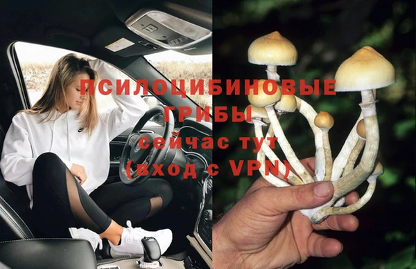прущие грибы Арсеньев