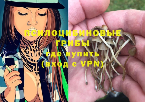 стаф Армянск