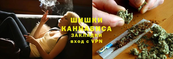 прущие грибы Арсеньев